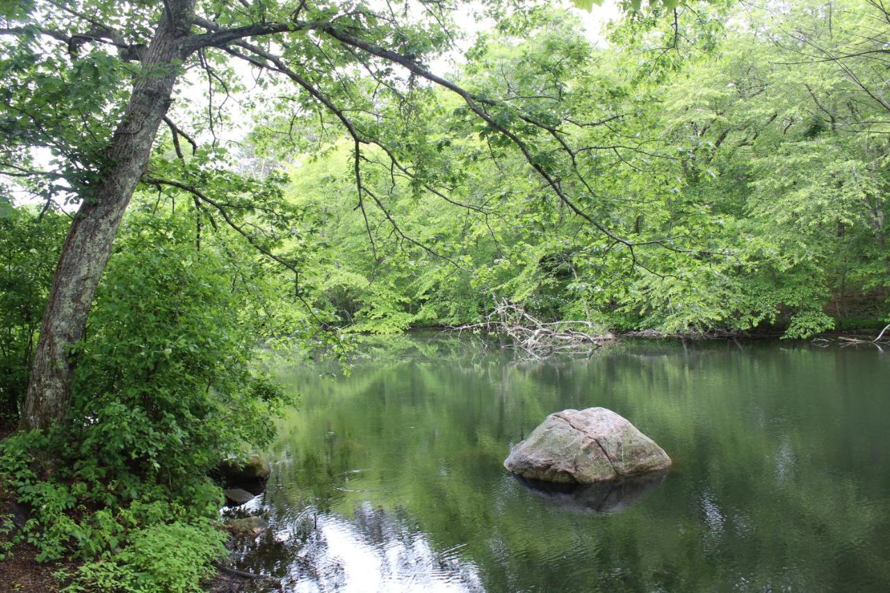 בורן Herring Run מראה חיצוני תמונה