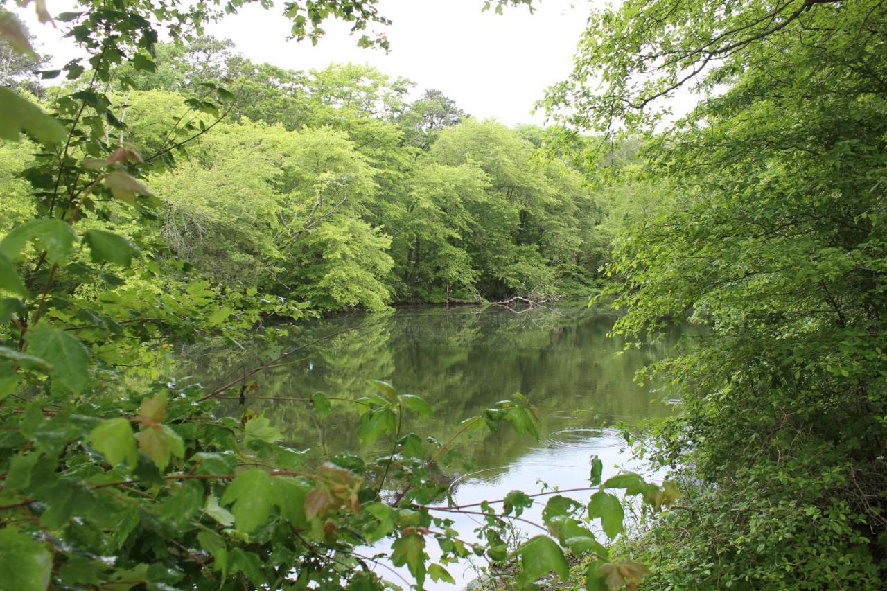 בורן Herring Run מראה חיצוני תמונה