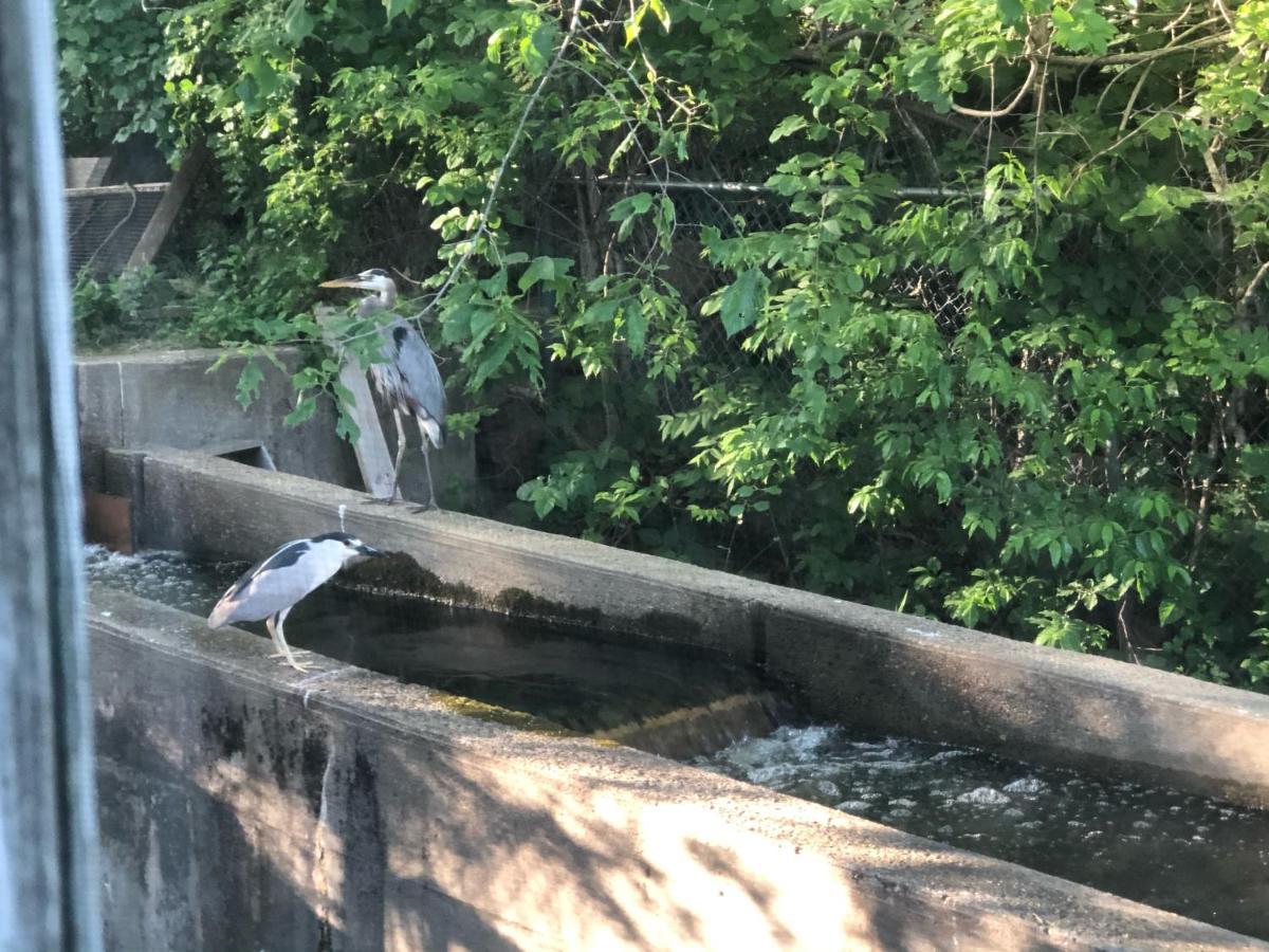 בורן Herring Run מראה חיצוני תמונה