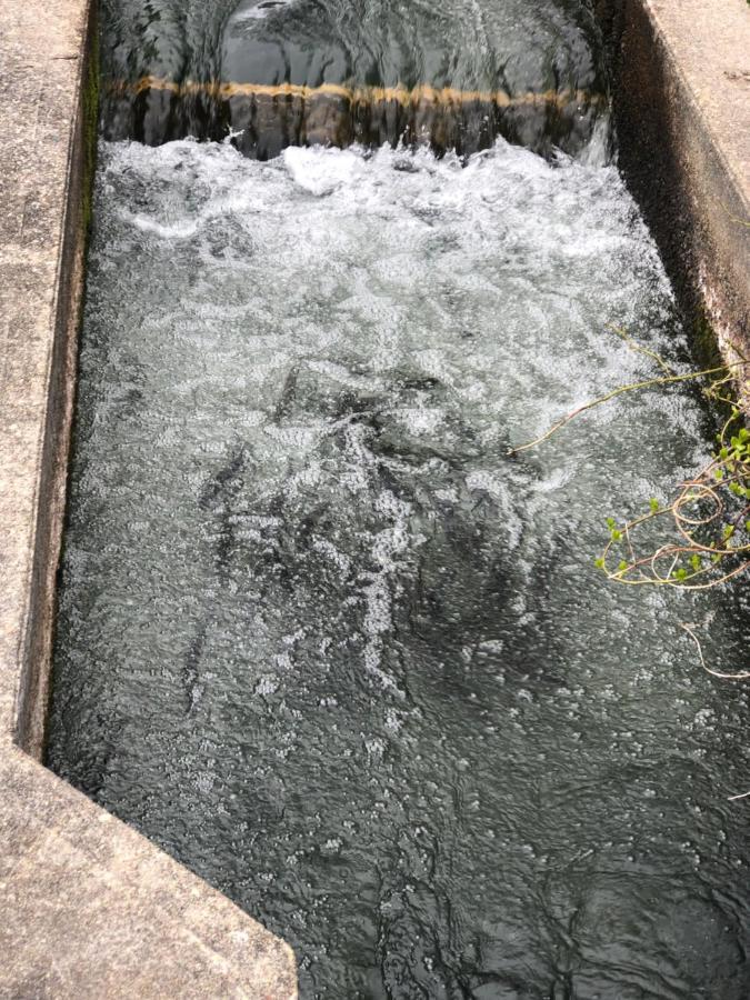 בורן Herring Run מראה חיצוני תמונה